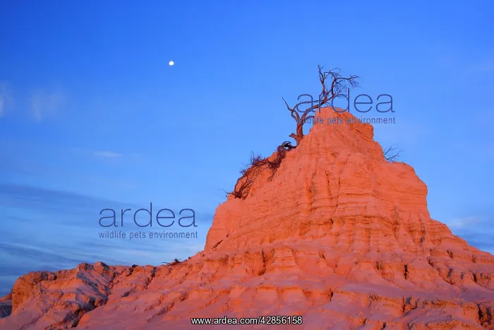 : Eroded pinnacle - of the lunette Walls of China : Eroded pinnacle - of the lunette Walls of China