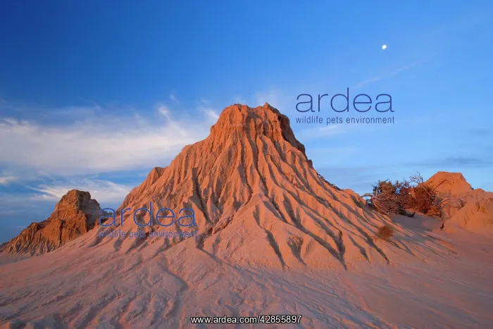 : Eroded pinnacles - of the lunette Walls of China : Eroded pinnacles - of the lunette Walls of China