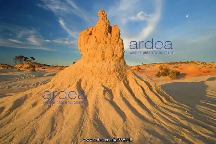 : Eroded pinnacles - of the lunette Walls of China : Eroded pinnacles - of the lunette Walls of China