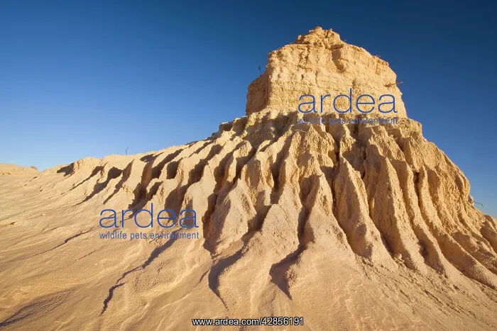 : Eroded pinnacles - of the lunette Walls of China : Eroded pinnacles - of the lunette Walls of China
