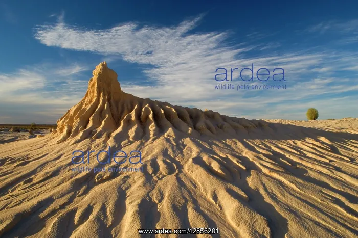 : Eroded pinnacles - of the lunette Walls of China : Eroded pinnacles - of the lunette Walls of China