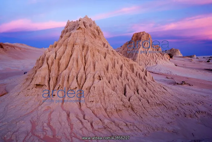 : Eroded pinnacles - of the lunette Walls of China : Eroded pinnacles - of the lunette Walls of China