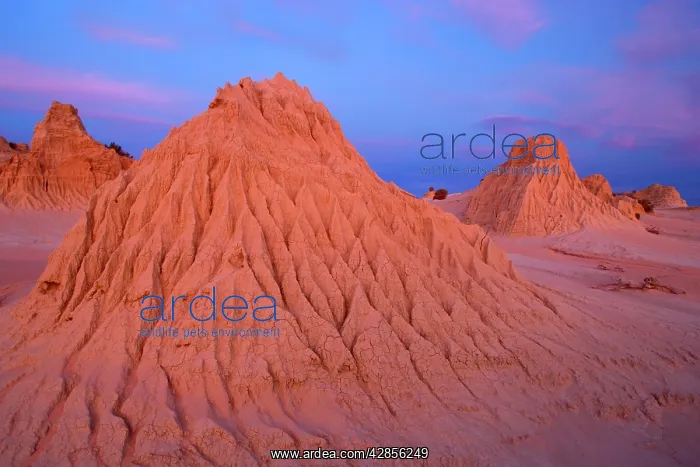 : Eroded pinnacles - of the lunette Walls of China : Eroded pinnacles - of the lunette Walls of China