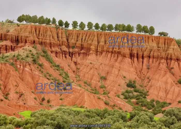 : Eroded red mudstone : Eroded red mudstone