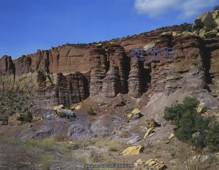 : Eroded Red Sandstone, Utah : Eroded Red Sandstone, Utah