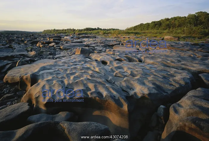 : Eroded Riverbed : Eroded Riverbed