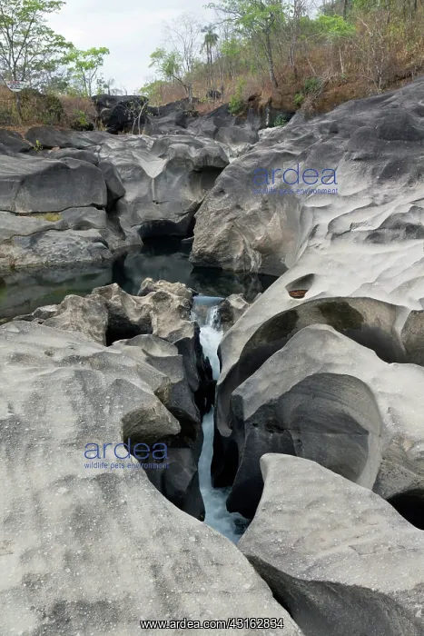 : Eroded Riverbed : Eroded Riverbed