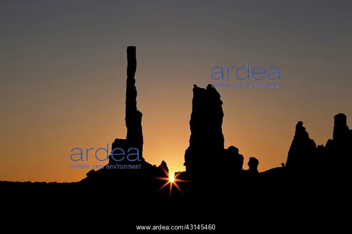 : The eroded rock formations Totem Pole and Yei Bi Chei at sun : The eroded rock formations Totem Pole and Yei Bi Chei at sun