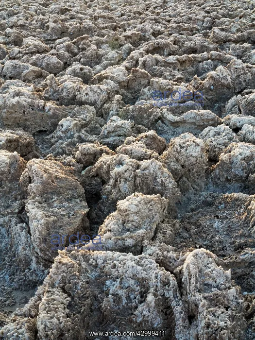 : Eroded rock salt pinnacles at the Devils Golf Course : Eroded rock salt pinnacles at the Devils Golf Course