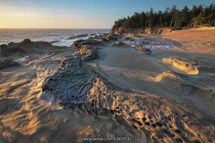  : Eroded sandstone concretions and formations at Shore