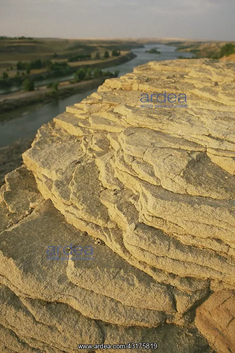: Eroded Sandstone Outcrop : Eroded Sandstone Outcrop