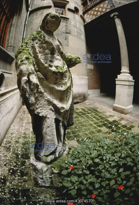: Eroded Statue : Eroded Statue