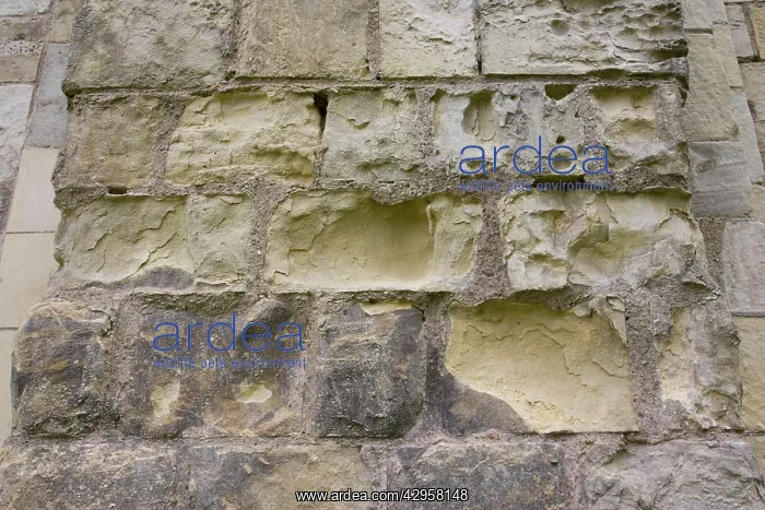 : Eroded stonework : Eroded stonework