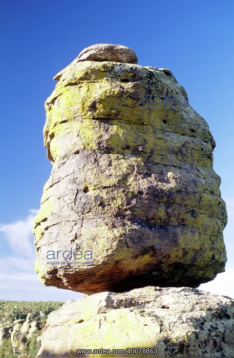 : Eroded Volcanic Rock, Arizona : Eroded Volcanic Rock, Arizona