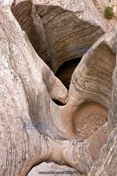 : Eroded watercourse in sandstone : Eroded watercourse in sandstone