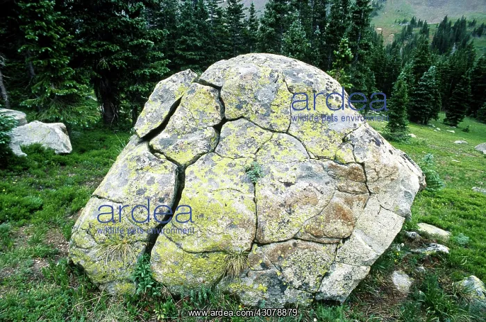 : Eroding Boulder : Eroding Boulder
