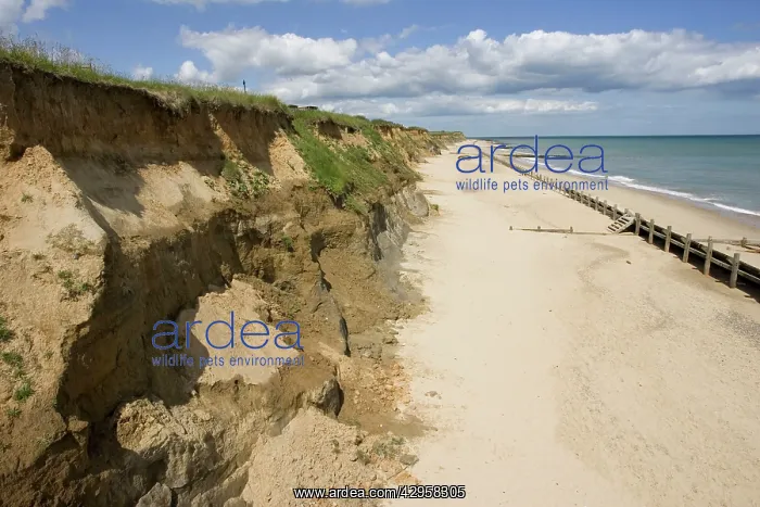 : Eroding cliffs severe coastal erosion : Eroding cliffs severe coastal erosion