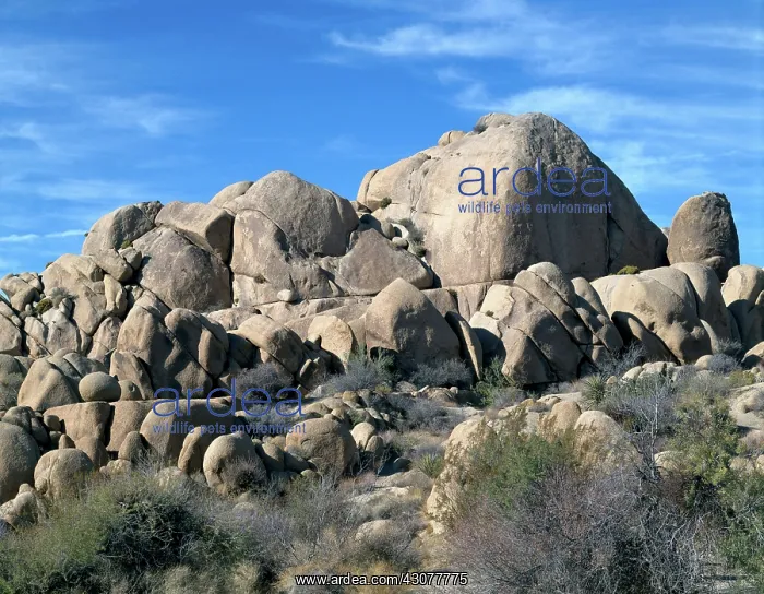 : Eroding Rocks, California : Eroding Rocks, California