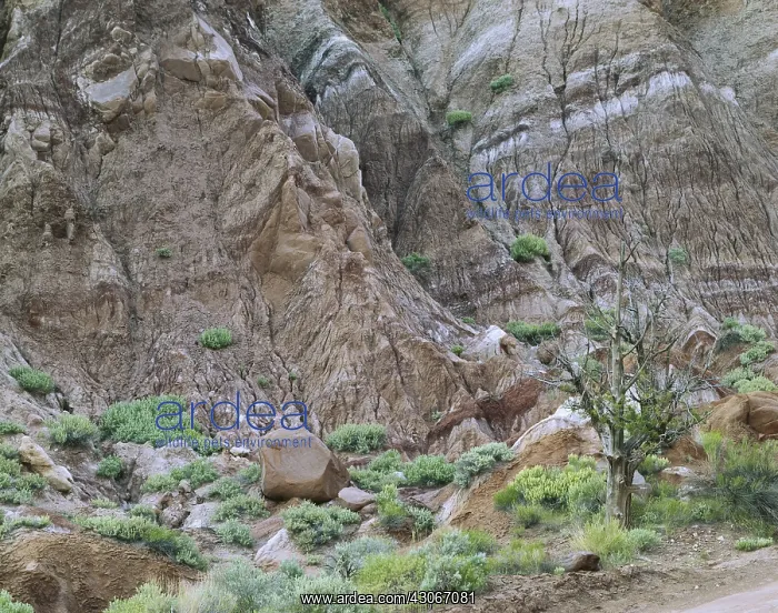 : Eroding Sandstone : Eroding Sandstone