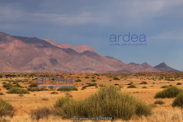 : Erongo Mountain range : Erongo Mountain range