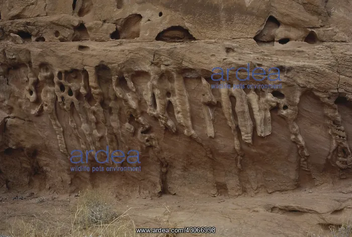 : Erosion on a Cliff : Erosion on a Cliff