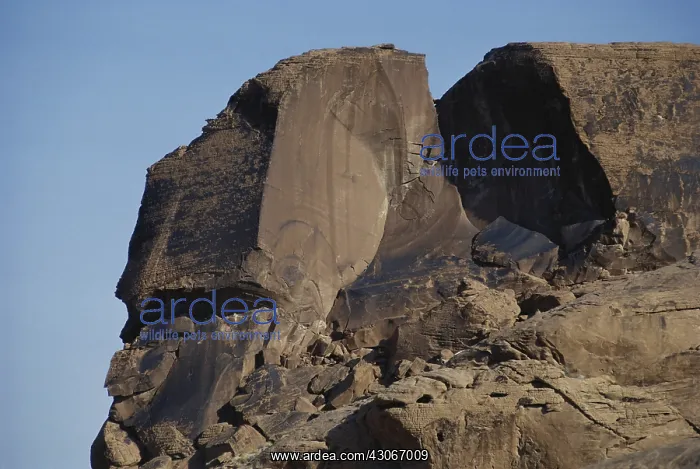 : Erosion on a Cliff : Erosion on a Cliff