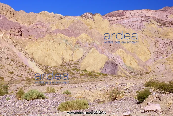 : Erosion - eroded mountain cliffs in shades of yellow : Erosion - eroded mountain cliffs in shades of yellow
