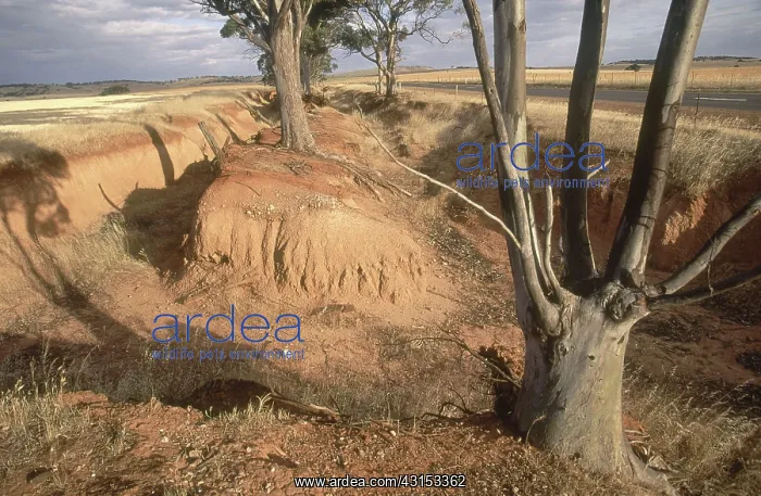 : Erosion from Farming : Erosion from Farming