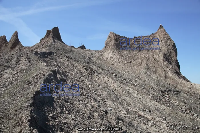 : Erosion of Glacial Drumlin : Erosion of Glacial Drumlin