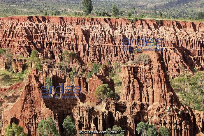  : Erosion - Konso area - Ethiopia
