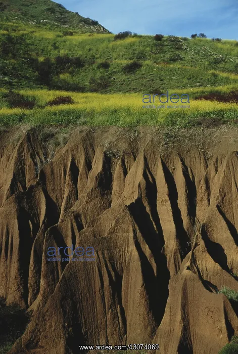 : Erosion, Malibu, California : Erosion, Malibu, California