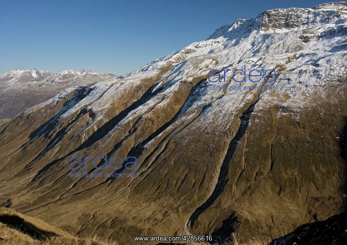 : Erosion on mountains just east of the Furka Pass : Erosion on mountains just east of the Furka Pass