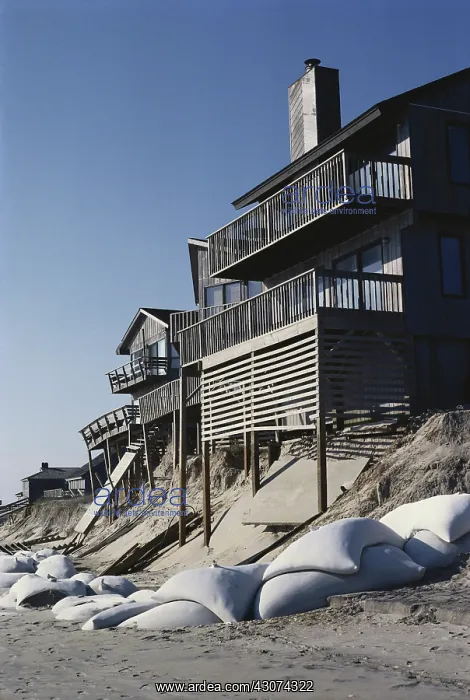 : Erosion Threatens Beach Houses : Erosion Threatens Beach Houses