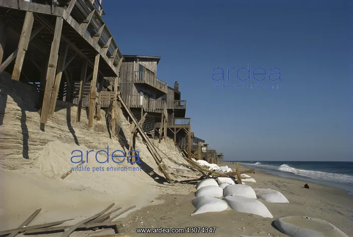 : Erosion Threatens Beach Houses : Erosion Threatens Beach Houses