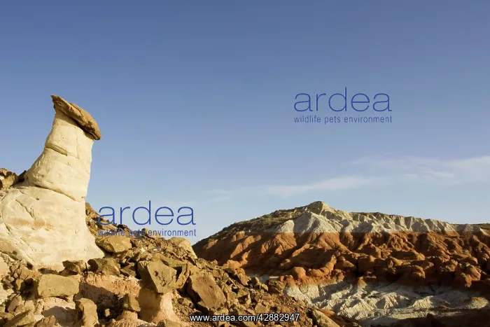 : Erosion - Toadstool, also called Hoodoo, in the : Erosion - Toadstool, also called Hoodoo, in the