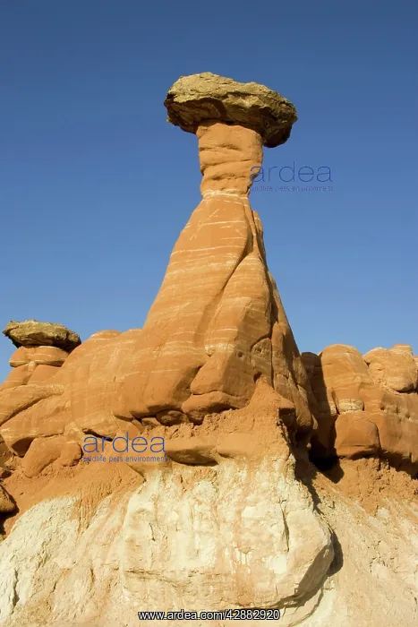 : Erosion - toadstools, also called Hoodoos, in the : Erosion - toadstools, also called Hoodoos, in the