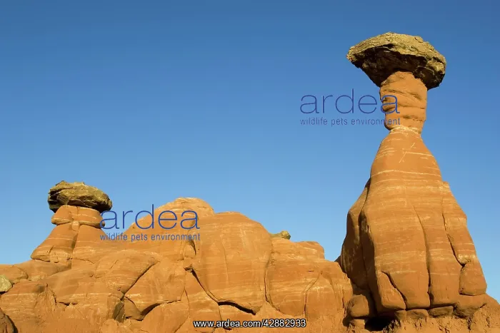 : Erosion - Toadstools, also called Hoodoos, in the : Erosion - Toadstools, also called Hoodoos, in the