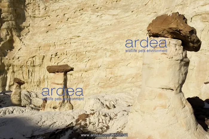 : Erosion - Toadstools, also called Hoodoos, in the : Erosion - Toadstools, also called Hoodoos, in the