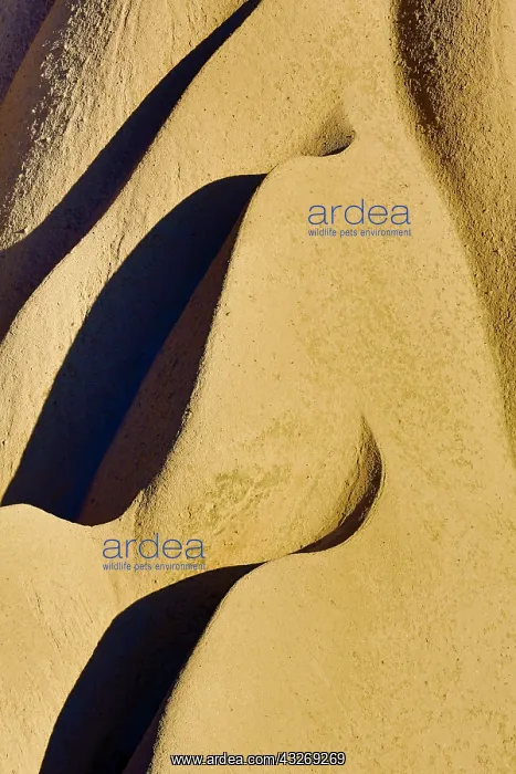 : Erosion of Tufa into design and pattern : Erosion of Tufa into design and pattern