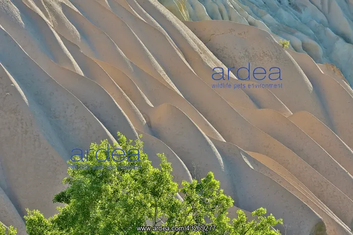 : Erosion of Tufa into design and pattern : Erosion of Tufa into design and pattern