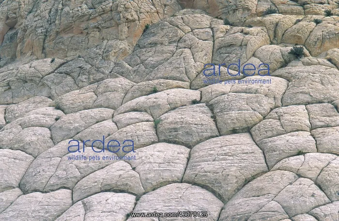 : Erosion, Utah : Erosion, Utah