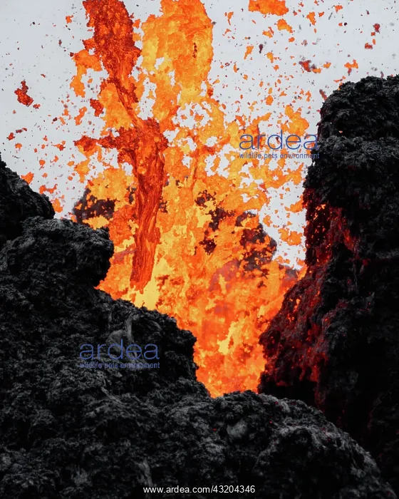 : Erupting volcano with lava, close-up, Fagradalsfjall : Erupting volcano with lava, close-up, Fagradalsfjall