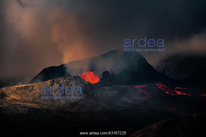 : Erupting volcano with lava fountains and lava field : Erupting volcano with lava fountains and lava field