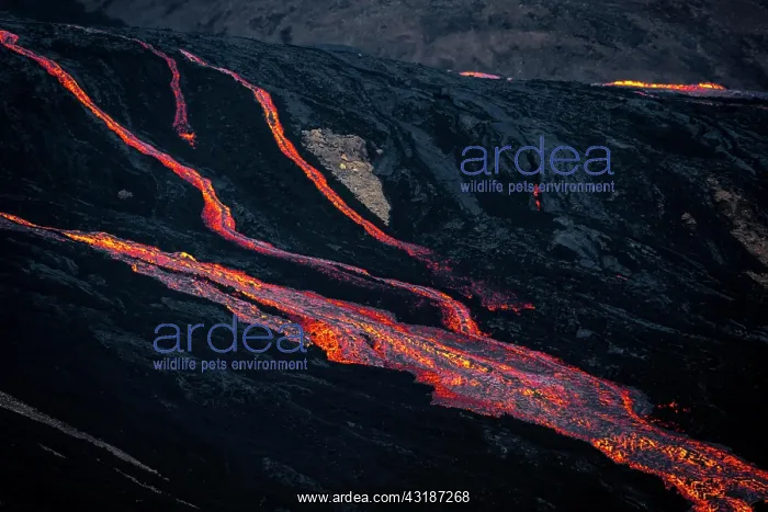 : Erupting volcano with lava fountains and lava field : Erupting volcano with lava fountains and lava field