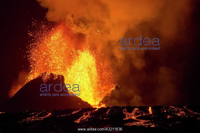 : Eruption in Geldingadalur, Fagradalsfjall, Reykjanes : Eruption in Geldingadalur, Fagradalsfjall, Reykjanes