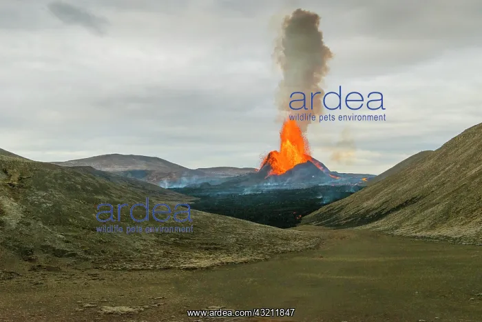 : Eruption in Geldingadalur, Fagradalsfjall, Reykjanes : Eruption in Geldingadalur, Fagradalsfjall, Reykjanes