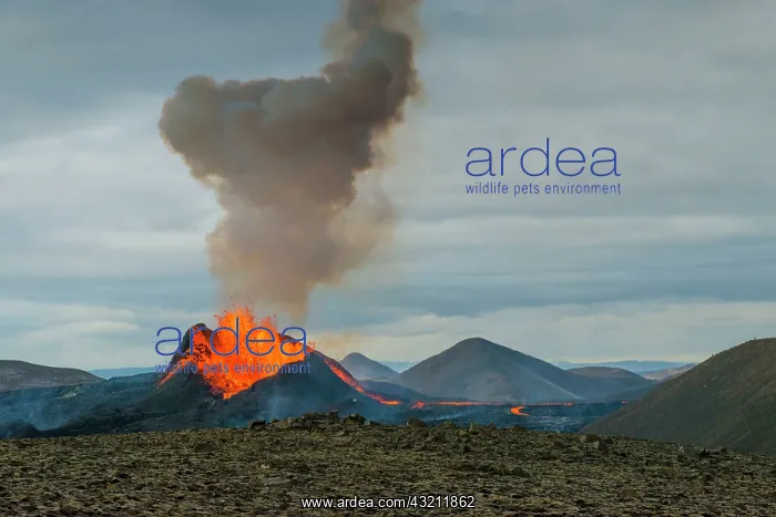 : Eruption in Geldingadalur, Fagradalsfjall, Reykjanes : Eruption in Geldingadalur, Fagradalsfjall, Reykjanes