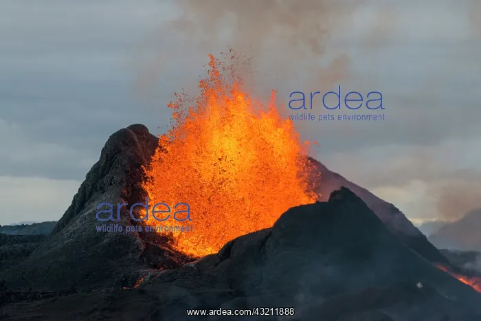: Eruption in Geldingadalur, Fagradalsfjall, Reykjanes : Eruption in Geldingadalur, Fagradalsfjall, Reykjanes