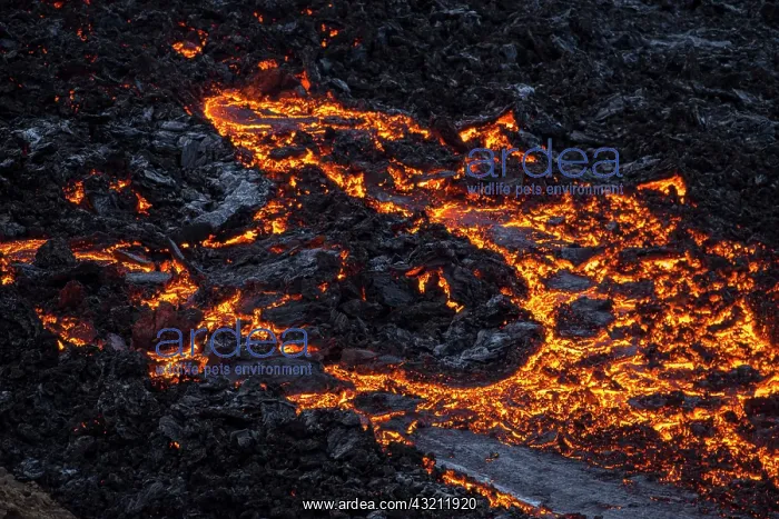  : Eruption in Geldingadalur, Fagradalsfjall, Reykjanes