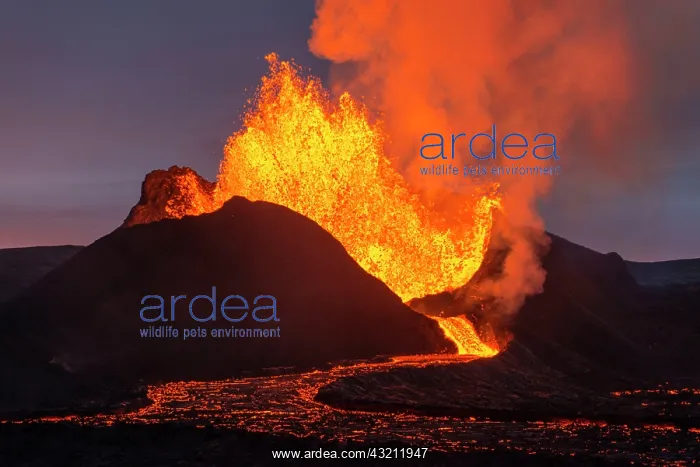 : Eruption in Geldingadalur, Fagradalsfjall, Reykjanes : Eruption in Geldingadalur, Fagradalsfjall, Reykjanes